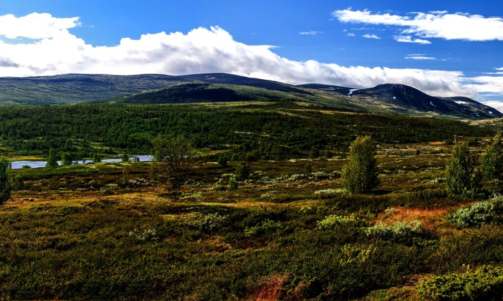 norgeskonferansen-2018_fremhevet_bilde