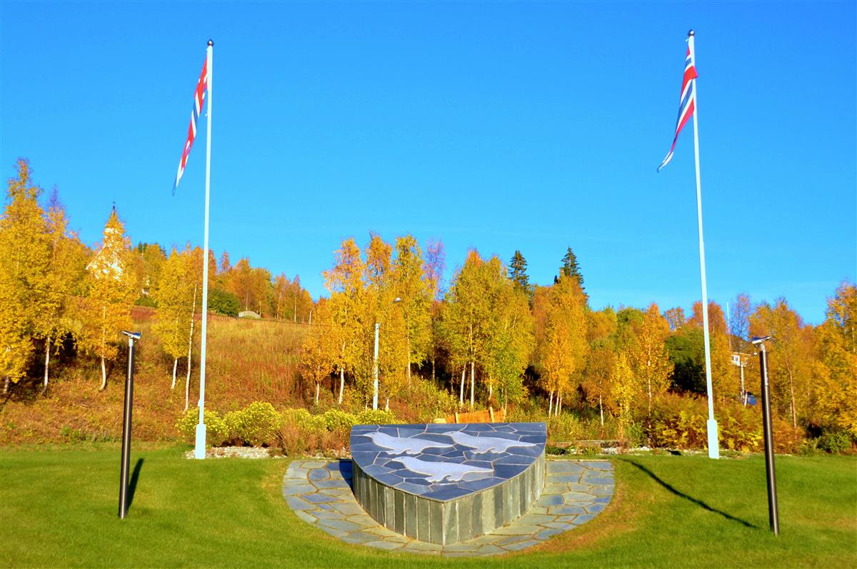 Lierne kommune Lierne kommune