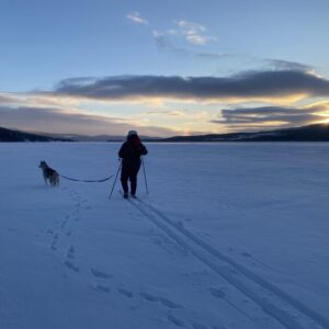 på ski på isen