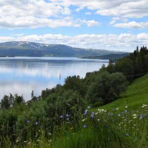Sommer i Sandvika