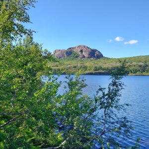 Ved Raudbergtjønna