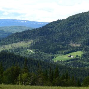 Gård i fjellsiden