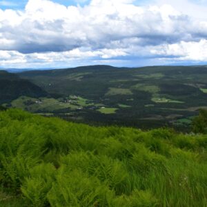 Utsikt over Kvelia fra Nonsfjellet