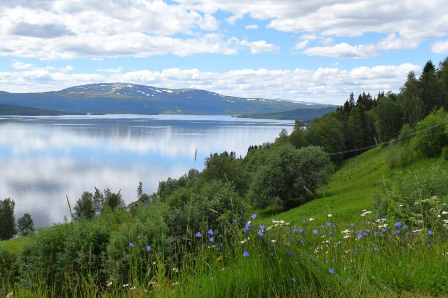Sommer i Sandvika