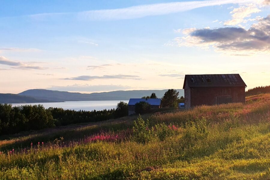 Deviktangen gård