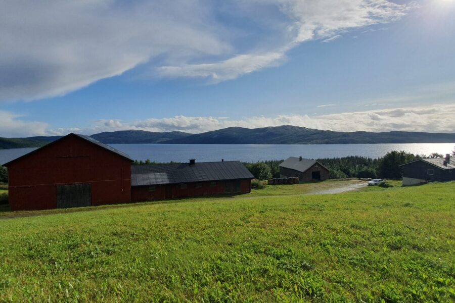 Deviktangen gård