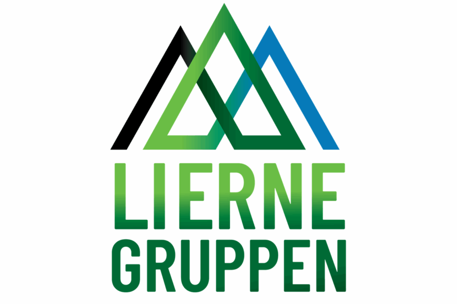 Logo Liernegruppen