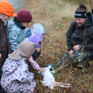 Sørli barnehage på harejakt