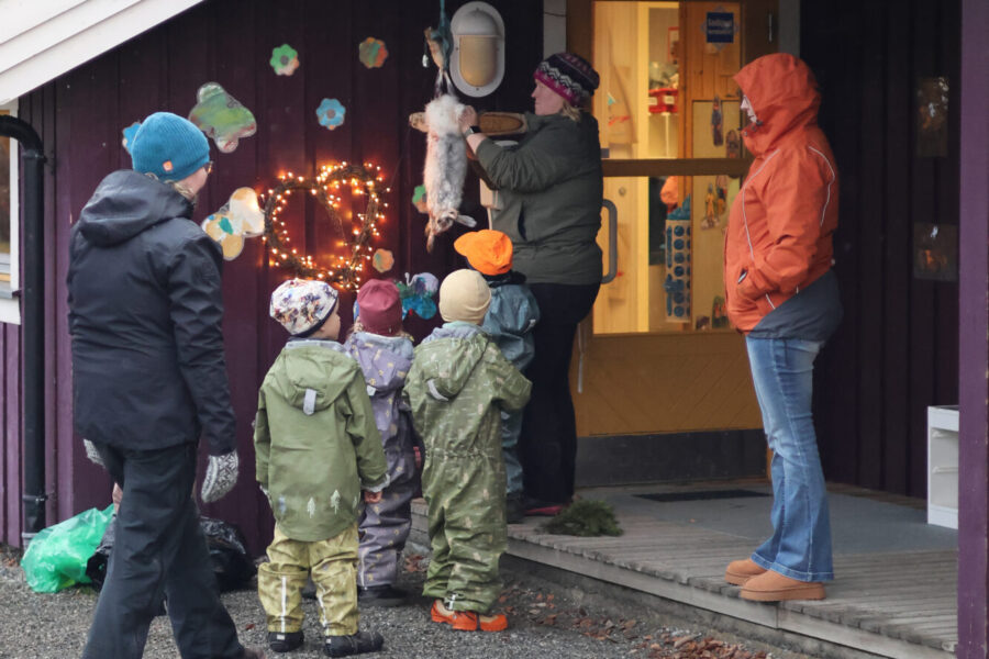 Sørli barnehage på harejakt